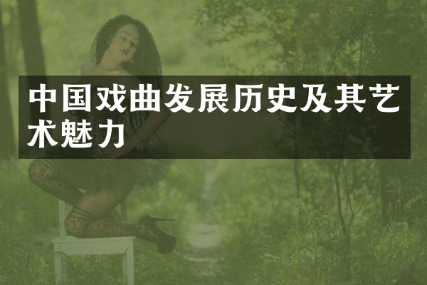 中国戏曲发展历史及其艺术魅力