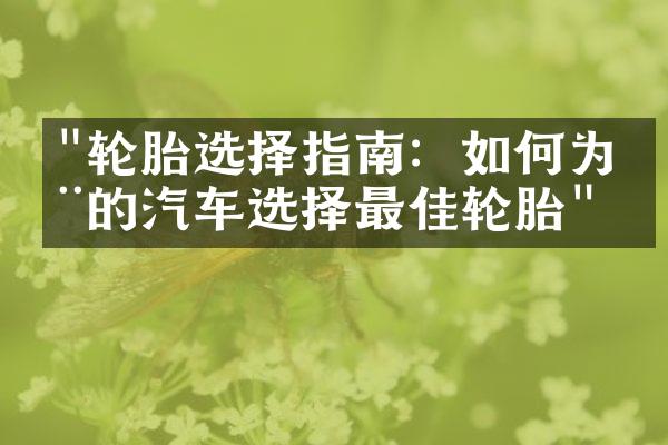 "轮胎选择指南：如何为您的汽车选择最佳轮胎"