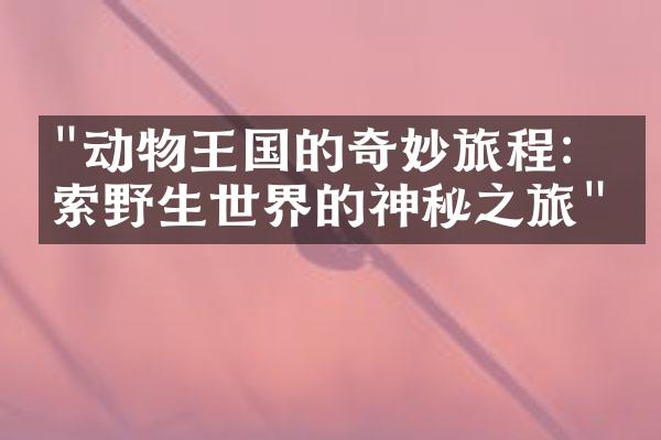 "动物王国的奇妙旅程：探索野生世界的神秘之旅"