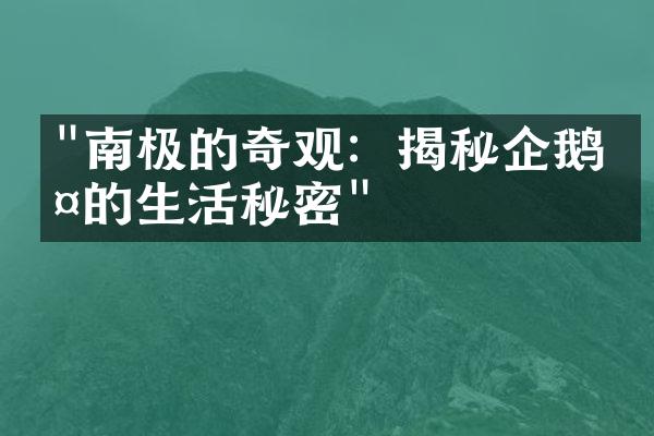 "南极的奇观：揭秘企鹅群的生活秘密"