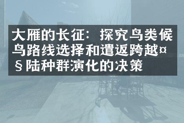 大雁的长征：探究鸟类候鸟路线选择和遣返跨越大陆种群演化的决策