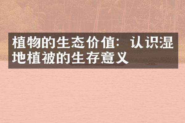 植物的生态价值：认识湿地植被的生存意义