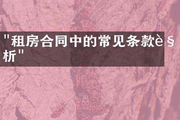 "租房合同中的常见条款解析"