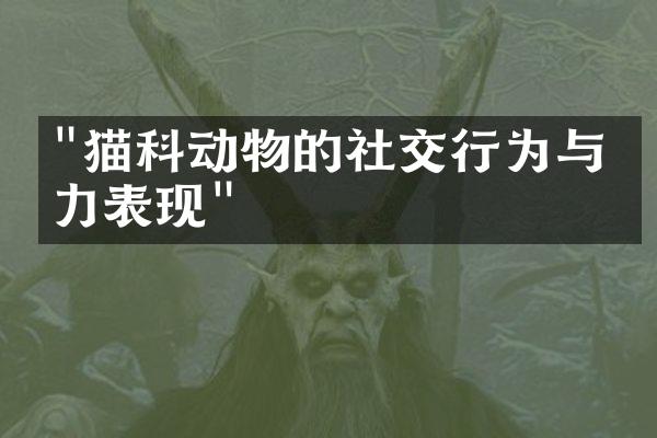 "猫科动物的社交行为与智力表现"