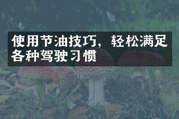 使用节油技巧，轻松满足各种驾驶习惯