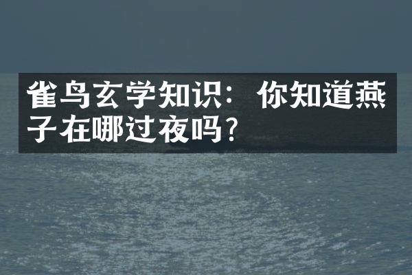 雀鸟玄学知识：你知道燕子在哪过夜吗？