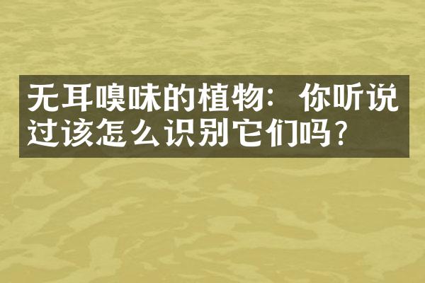 无耳嗅味的植物：你听说过该怎么识别它们吗？
