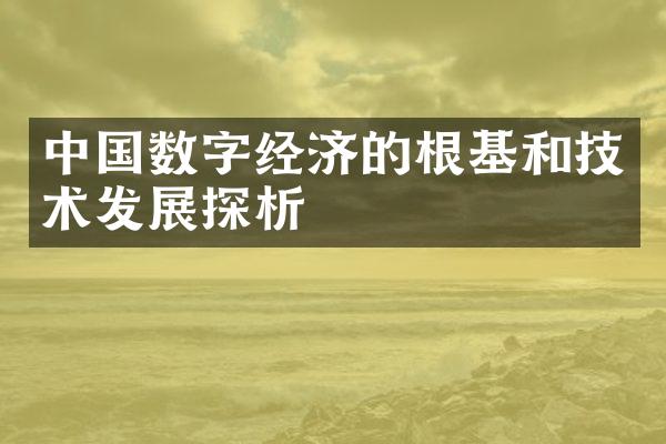 中国数字经济的根基和技术发展探析