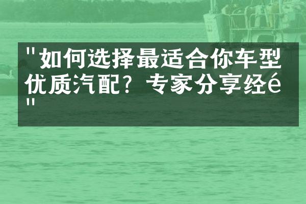 "如何选择最适合你车型的优质汽配？专家分享经验"