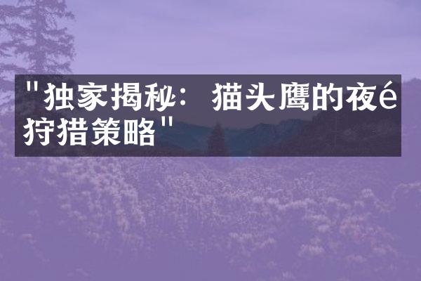 "独家揭秘：猫头鹰的夜间狩猎策略"