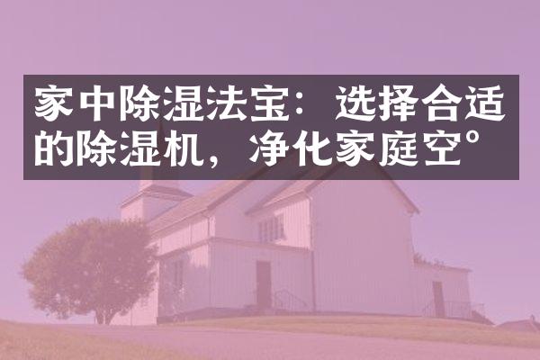 家中除湿法宝：选择合适的除湿机，净化家庭空气