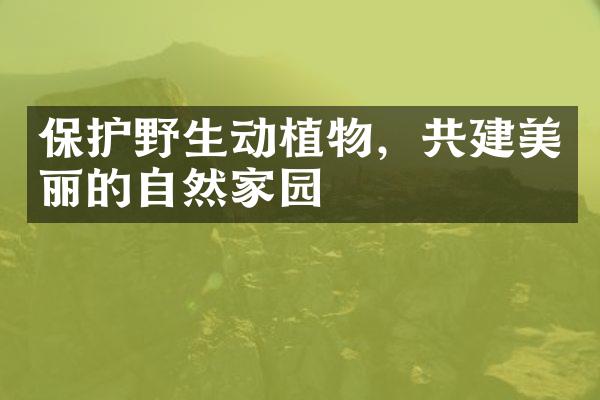 保护野生动植物，共建美丽的自然家园