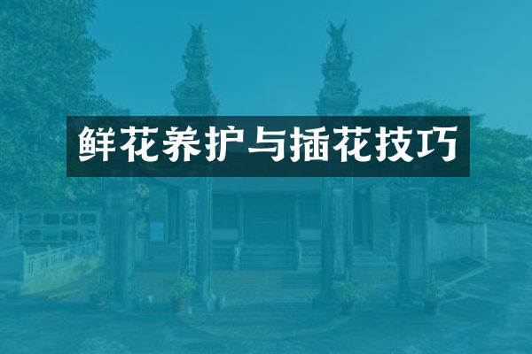 鲜花养护与插花技巧