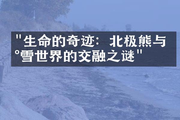 "生命的奇迹：北极熊与冰雪世界的交融之谜"