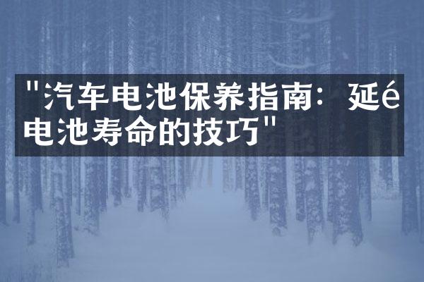 "汽车电池保养指南：延长电池寿命的技巧"