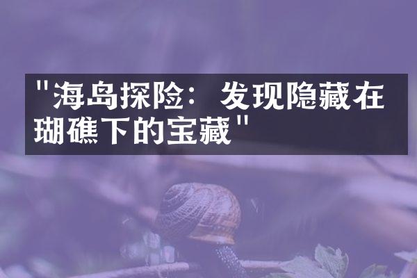 "海岛探险：发现隐藏在珊瑚礁下的宝藏"