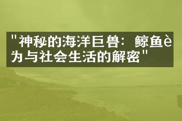 "神秘的海洋巨兽：鲸鱼行为与社会生活的解密"