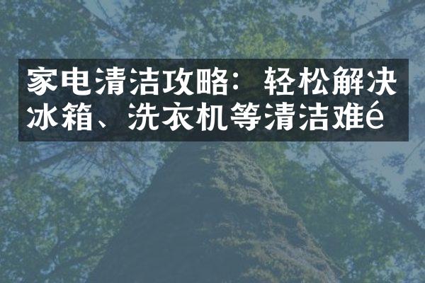 家电清洁攻略：轻松解决冰箱、洗衣机等清洁难题