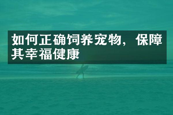 如何正确饲养宠物，保障其幸福健康