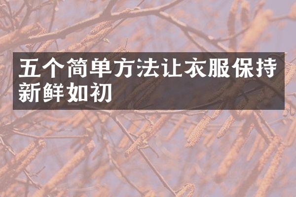 五个简单方法让衣服保持新鲜如初