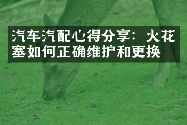汽车汽配心得分享：火花塞如何正确维护和更换？