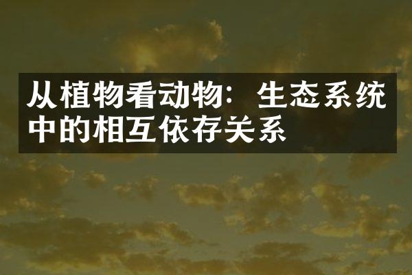 从植物看动物：生态系统中的相互依存关系