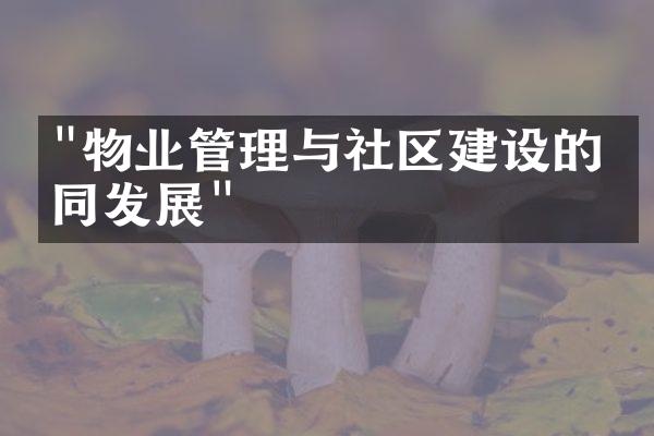 "物业管理与社区建设的协同发展"