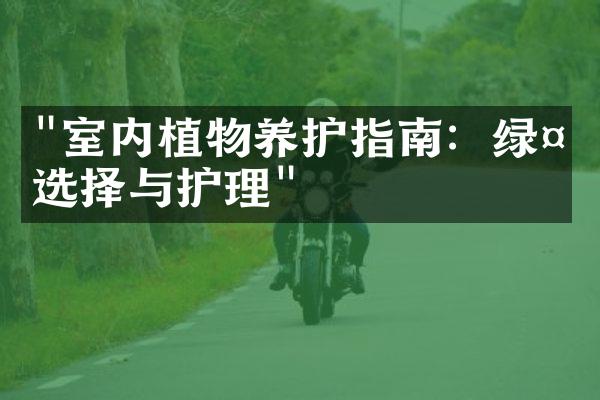 "室内植物养护指南：绿植选择与护理"