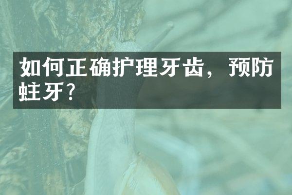 如何正确护理牙齿，预防蛀牙？