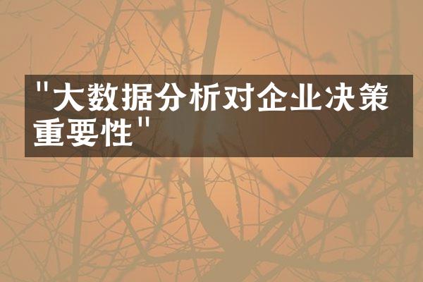 "大数据分析对企业决策的重要性"