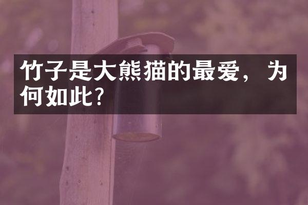 竹子是大熊猫的最爱，为何如此？