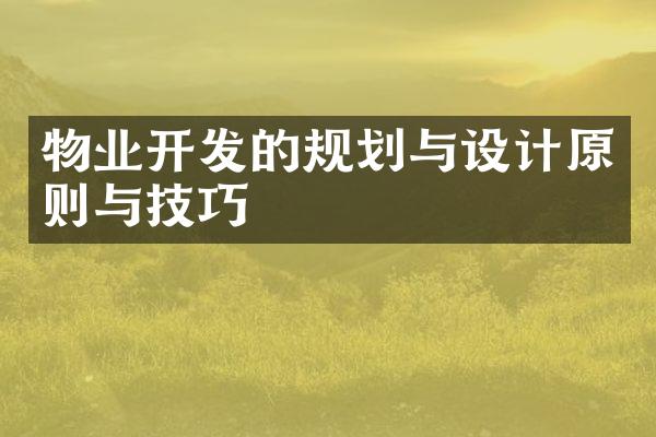 物业开发的规划与设计原则与技巧