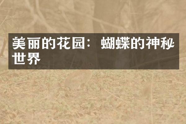 美丽的花园：蝴蝶的神秘世界
