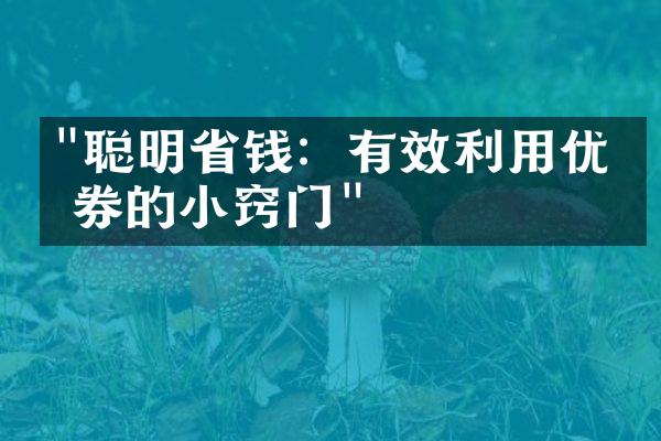 "聪明省钱：有效利用优惠券的小窍门"