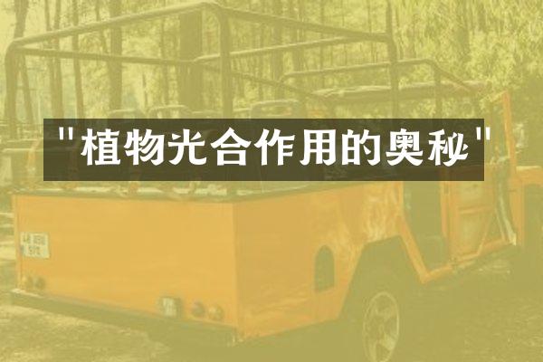 "植物光合作用的奥秘"