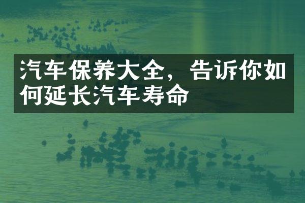 汽车保养大全，告诉你如何延长汽车寿命