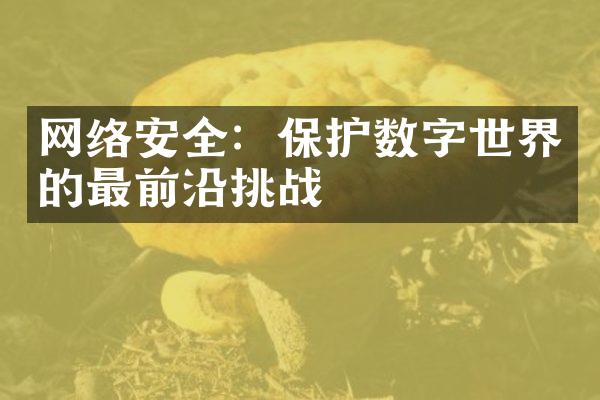 网络安全：保护数字世界的最前沿挑战