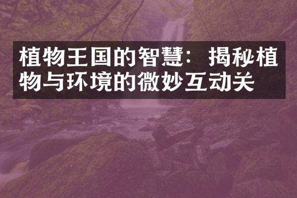 植物王国的智慧：揭秘植物与环境的微妙互动关系