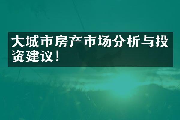 大城市房产市场分析与投资建议！