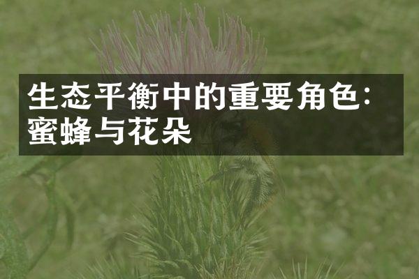 生态平衡中的重要角色：蜜蜂与花朵