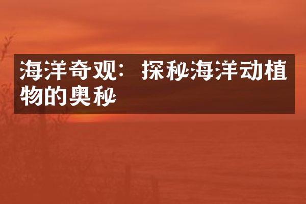 海洋奇观：探秘海洋动植物的奥秘