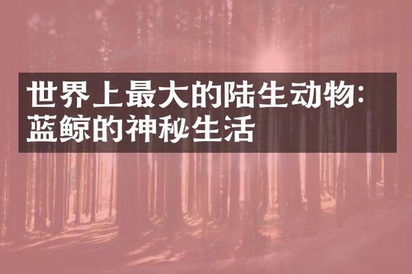 世界上最大的陆生动物：蓝鲸的神秘生活