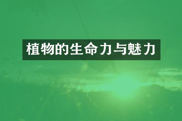 植物的生命力与魅力