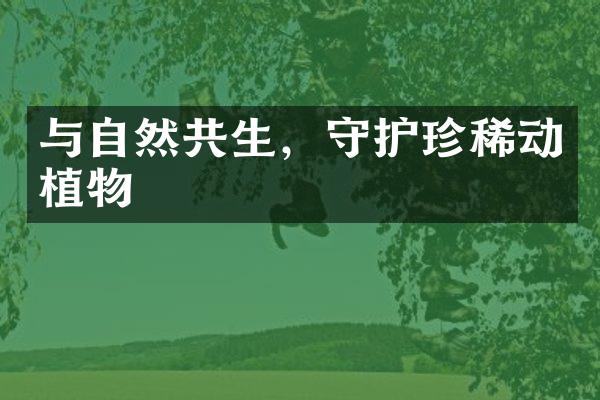 与自然共生，守护珍稀动植物