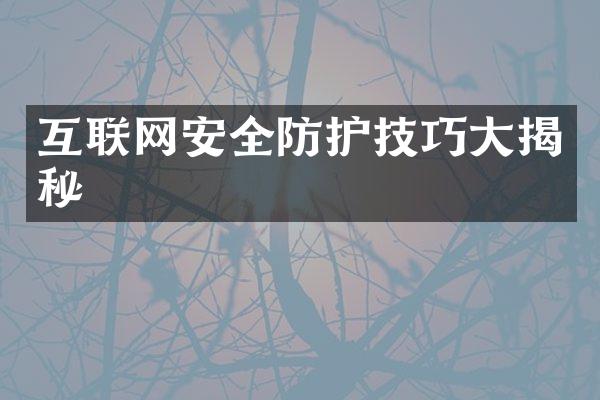 互联网安全防护技巧大揭秘