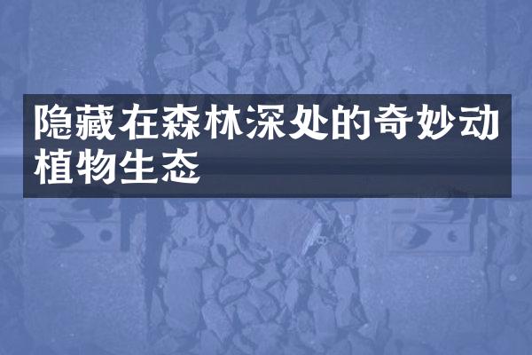 隐藏在森林深处的奇妙动植物生态