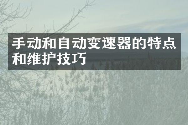 手动和自动变速器的特点和维护技巧