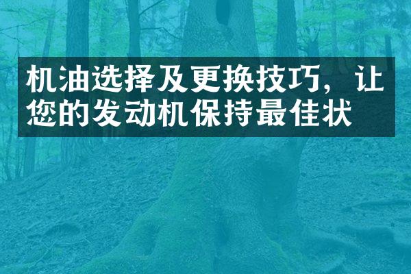 机油选择及更换技巧，让您的发动机保持最佳状态