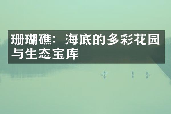 珊瑚礁：海底的多彩花园与生态宝库