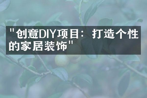 "创意DIY项目：打造个性化的家居装饰"